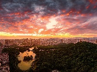 每日一景