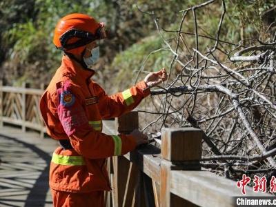 森林防火形势愈发严峻 福建龙岩织密消防安全防控网