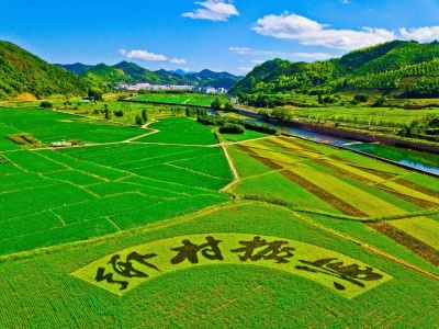 念好人才“三字经” 让“千里马”竞相驰骋