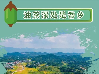 油茶深处是吾乡
