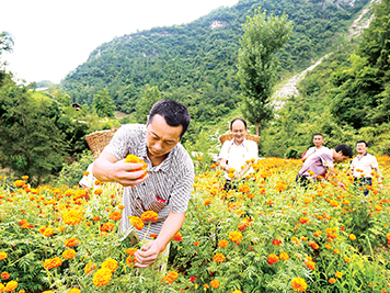 肩负使命，在乡村振兴一线实干 ——开年走访驻村第一书记