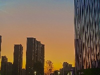 每日一景
