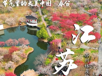 【节气里的大美中国】春分丨山色连天碧 林花向日明