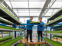 江西吉水：智慧工厂育秧忙