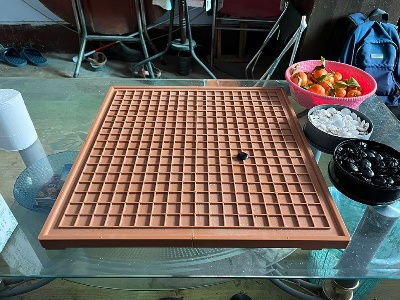 天才围棋少年，不止困于他的盲-中新网