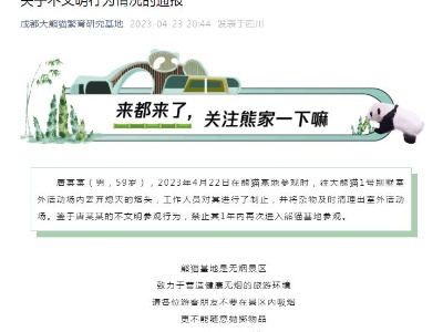 男子往大熊猫活动场丢烟头 被禁止1年内再次参观-中新网