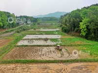 江西芦溪：春耕时节农事忙