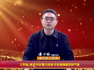 三阳镇：铆足干劲 奋力担当 开创强镇富民新气象