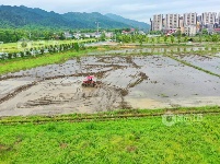 江西芦溪：谷雨时节农事忙