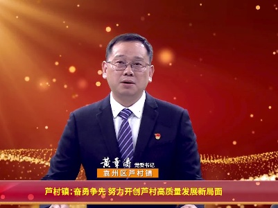 芦村镇
