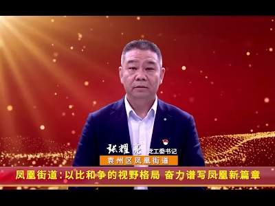 凤凰街道：以比和争的视野格局 奋力谱写凤凰新篇章