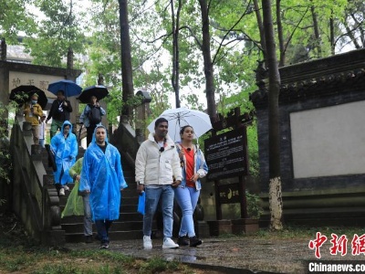 访古城、走蜀道 国际媒体人盛赞广元昭化文旅魅力-中新网