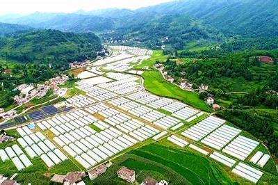 发展乡村旅游助力乡村振兴的基本路径