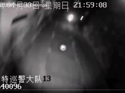 女子轻生跳河，袁州特巡警辅警队员熊健、敖震挺身而出！