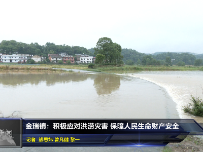 金瑞镇：积极应对洪涝灾害保障人民生命财产安全