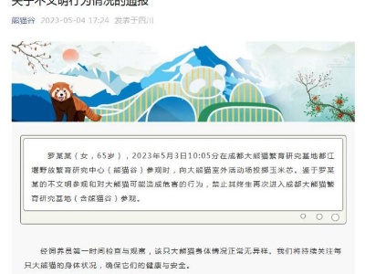 女子向大熊猫投掷玉米芯 成都熊猫谷通报：终生禁入-中新网