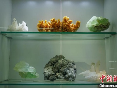 桂林助推地学科普发展 寓教于游打造研学旅游新模式-中新网