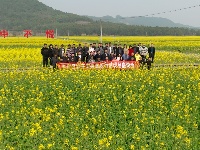 彬江油菜花39