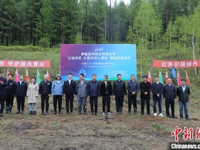 十余省份400多名游客为内蒙古大兴安岭植绿-中新网