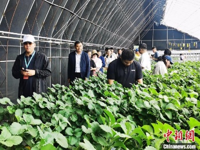 心向往之、一见倾承：承德55处A级景区遍布全域-中新网