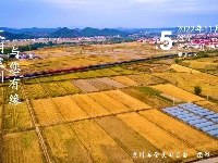 每日一景186