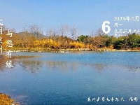 每日一景138