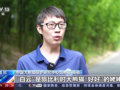 300多种濒危野生动植物种恢复性增长 这是“万物共生”的中国答卷-中新网