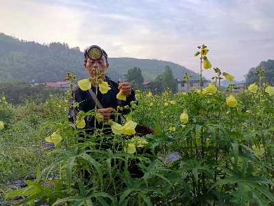 【“三比三争”践行动】支部引进致富花  懒鬼变成带头人