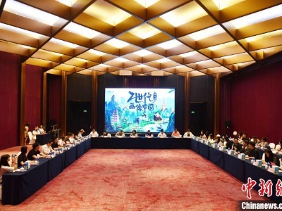 “Z世代”画像中国分享座谈会在成都举行-中新网