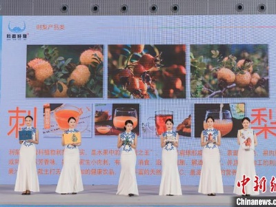 贵州“黔南好物”集中亮相广州 拓展大湾区消费市场-中新网