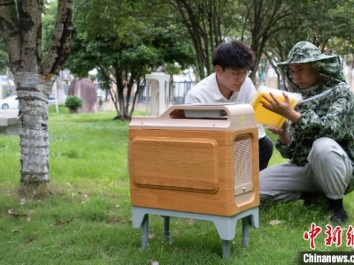 浙江高校学生研发“智能蜂巢” 点点手机就能“召唤”蜜蜂回家-中新网
