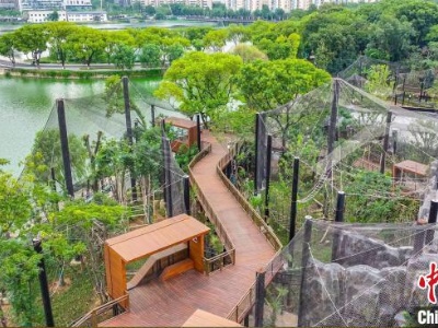武汉动物园完成改造升级 动物住进“精装房”-中新网