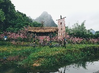 树