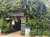 树