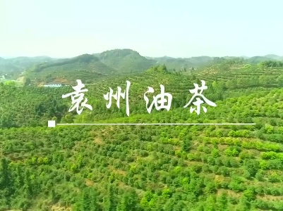袁州油茶