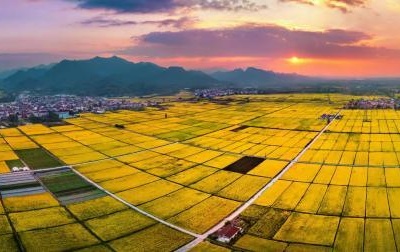 世界粮食日：“浙中水网”弱水三千何以向强-中新网