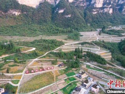 （走进中国乡村）深山布福娜出苗乡 巧变面膜销海外-中新网