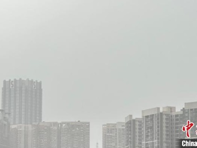 台风“三巴”在广东湛江登陆 粤多地遭遇暴雨-中新网