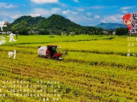早安袁州