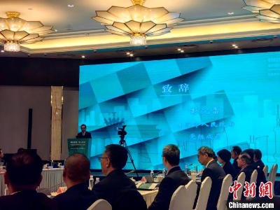 中德专家上海共同聚焦城市有机更新-中新网