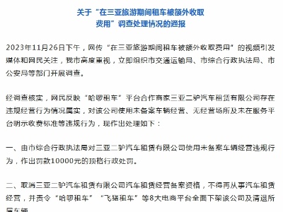 三亚通报“旅游期间租车被额外收取费用”：已作出处理-中新网