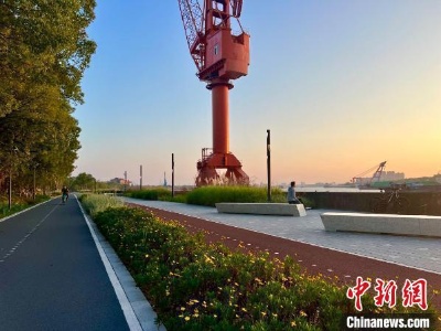 上海：绿道长度已近1770公里 成民众享受“慢生活”好去处-中新网