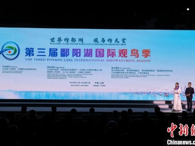 共话生态保护 第三届鄱阳湖国际观鸟季在江西永修开幕-中新网