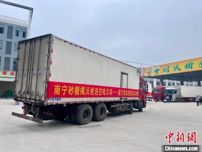 一场“砂糖橘”的双向奔赴  中国城市演绎甜蜜“南北恋”-中新网