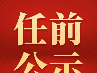 领导干部任前公示