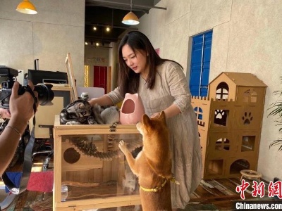 台湾姑娘在大陆做“动物沟通师”-中新网