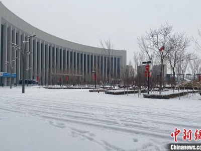 宁夏降雪天气持续 最大雪深8厘米-中新网