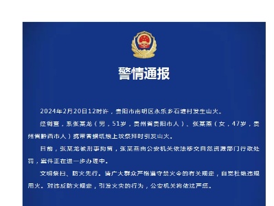 贵阳警方：两人上坟祭拜引发山火 其中一人被刑拘-中新网