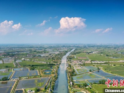 （新春走基层）江苏里下河腹地旅游公路之行：一路“繁花”入眼来-中新网