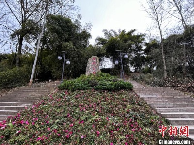 汇聚金融“同心力量” 重庆市委统战部引活水“滴灌”乡村发展-中新网